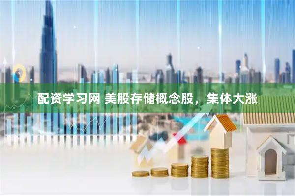 配资学习网 美股存储概念股，集体大涨
